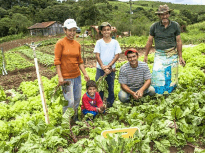 Programa de Incentivo ao Pequeno Produtor: Como Participar?