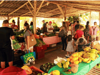 Feiras Agroecológicas: Benefícios para Produtores e Consumidores